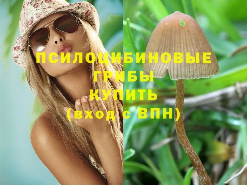 OMG ТОР  Серафимович  Псилоцибиновые грибы MAGIC MUSHROOMS 